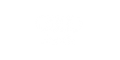 audi-1